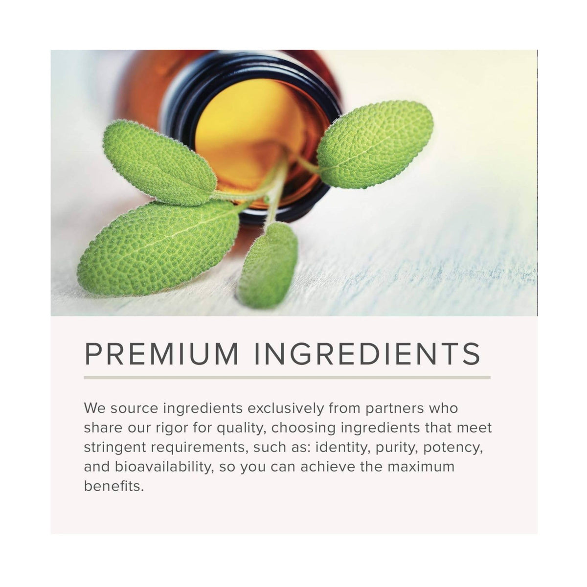 NusaPure Lemon Balm 30:1 Extract, 200 mg Per Vegan Caps - 200 Count Non-GMO, Vegan Bioperine