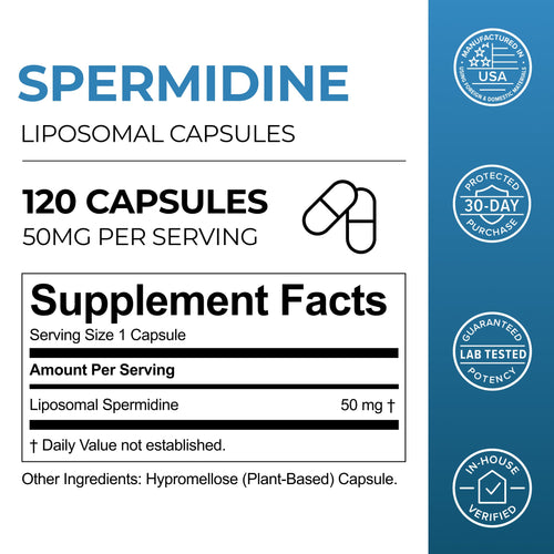 Liposomal Spermidine Capsules