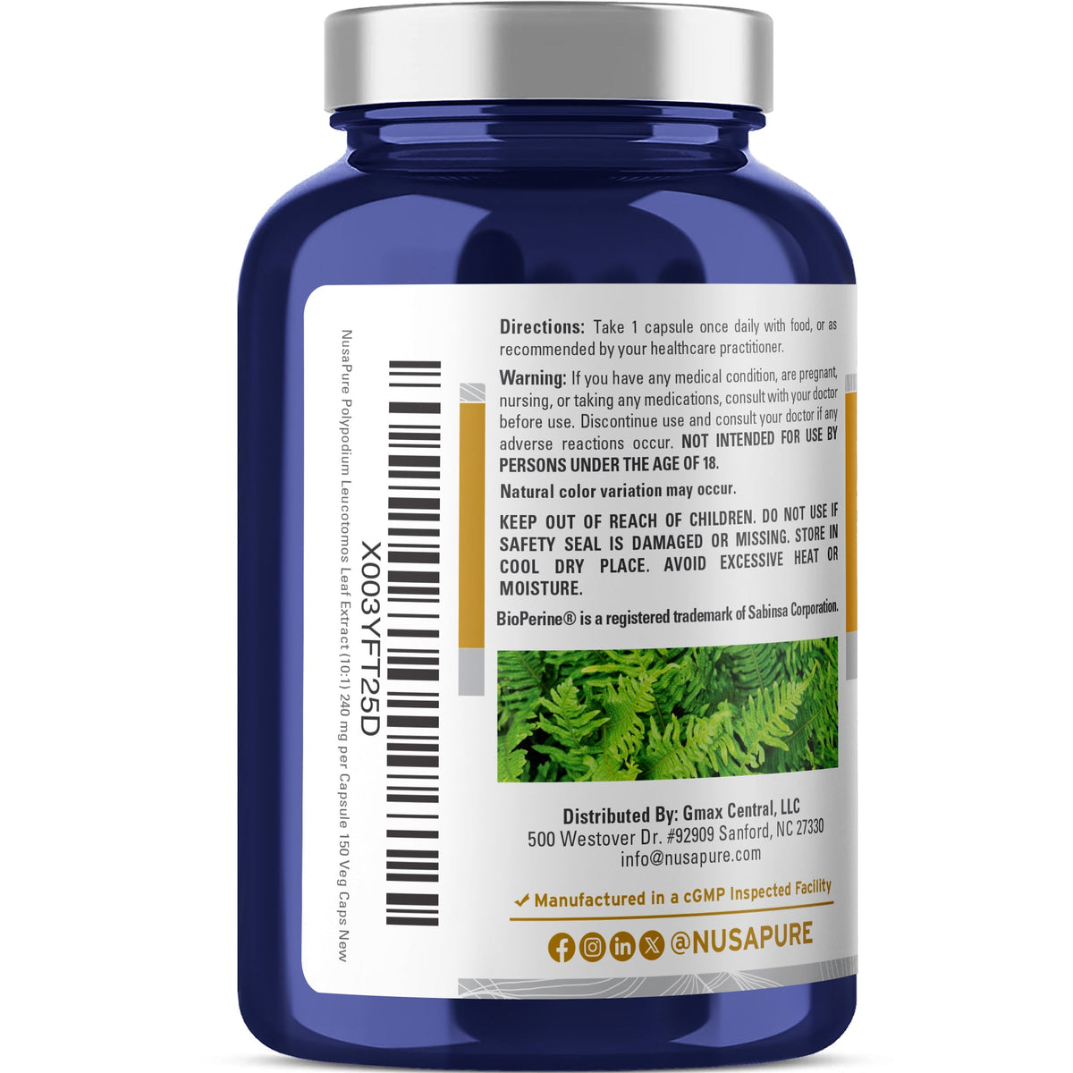 NusaPure Polypodium Nicotinamide 10:1 Extract, 240 mg per Veg Caps - 150 Count (Non-GMO, Soyfree, Bioperine)